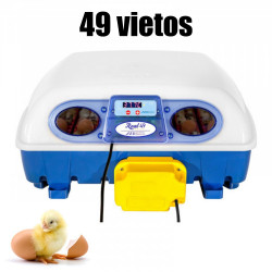 Automatinis kiaušinių inkubatorius REAL 49 AUTOMATIC