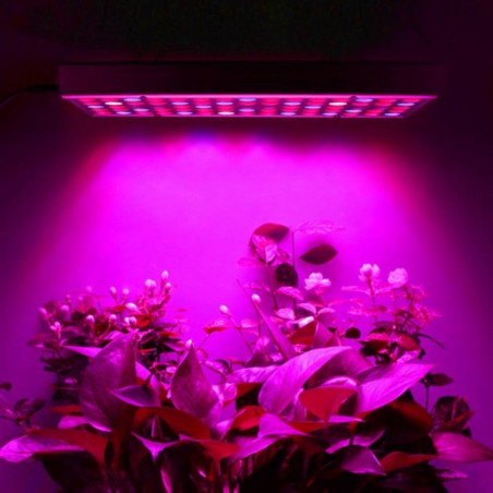 Augalų auginimo lempa 36W