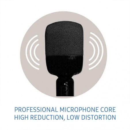 Karaokė mikrofonas 500ZX