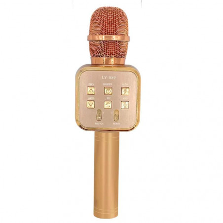 Karaokė mikrofonas YL89