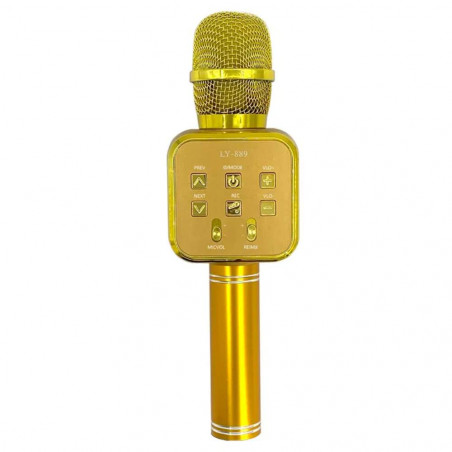 Karaokė mikrofonas YL89