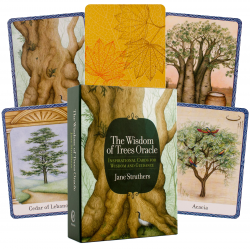 The Wisdom Of Trees Oracle kortos Watkins Publishing