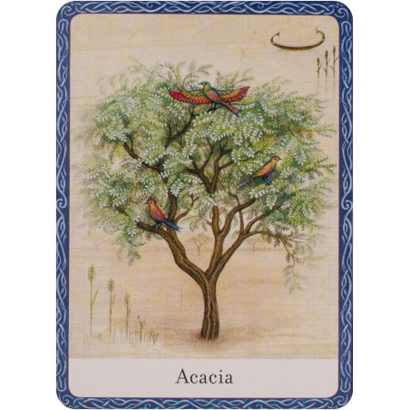 The Wisdom Of Trees Oracle kortos Watkins Publishing