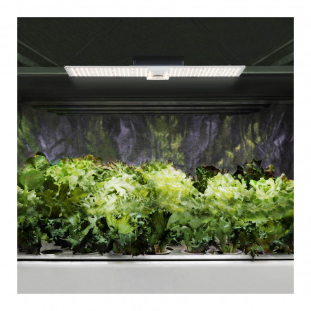 Augalų auginimo lempa - 2 000 W - 468 šviesos diodai - 20 000 liumenų