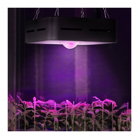 Augalų auginimo lempa - pilnas spektras - 50 W - 1 LED - 4200 liumenų