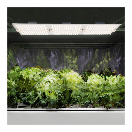 Augalų auginimo lempa – 600 W – 1 404 šviesos diodai – 60 000 liumenų