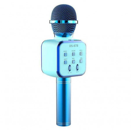 Mikrofonas su efektais DS878