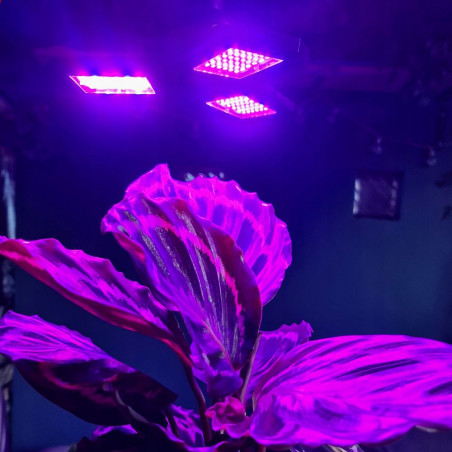 LED augalų lempa 108 LED Gardlov 20440