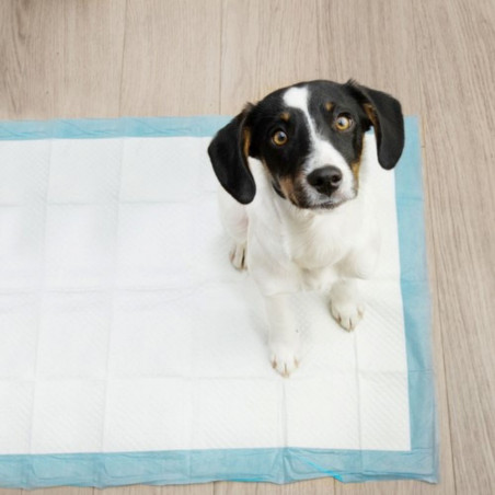 Vienkartinės šunų palutės 50 vnt. 60x90 cm + maišeliai šunų ekskrementams 2x30 vnt.