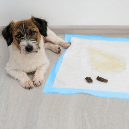 Vienkartinės šunų palutės 50 vnt. 60x60 cm + maišeliai šunų ekskrementams 2x30 vnt.