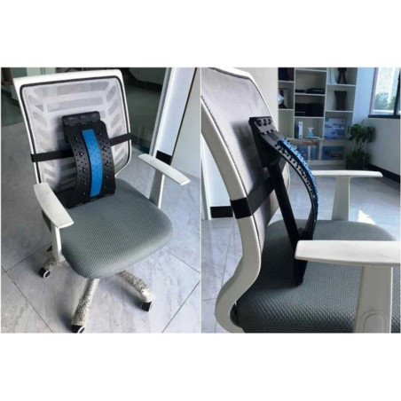 Nugaros tempimo treniruoklis 2in1 TRZ, 3 lygiai