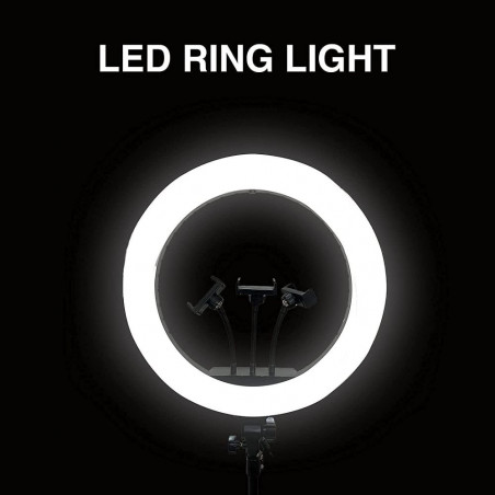 Žiedinė LED lempa LS45 LJJ 300 W