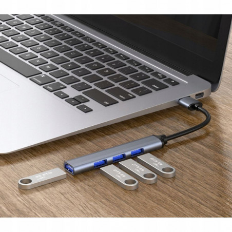 USB šakotuvas su 4 lizdais 3.0 + 2.0