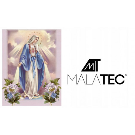 Deimantinė mozaika Mergelė Marija 25x35 cm