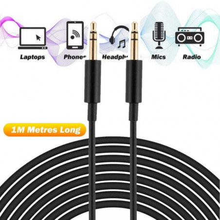 Aux laidas 1 m, 3.5 mm, (male-male)