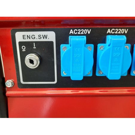 Benzininis generatorius DW8500 3000 W