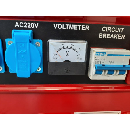 Benzininis generatorius DW8500 3000 W