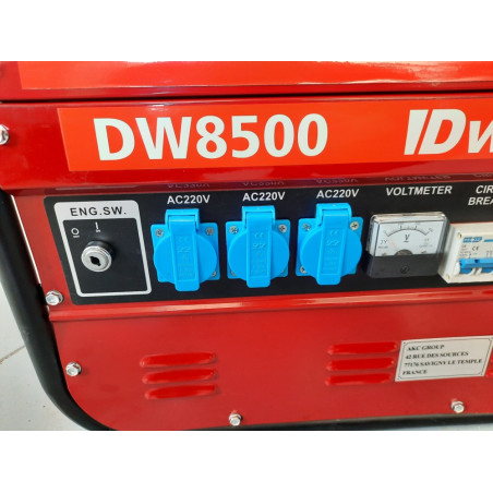 Benzininis generatorius DW8500 3000 W