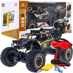 RC mašinėlė su pultu Rock Crawler Metal 1:8 2.4GHZ