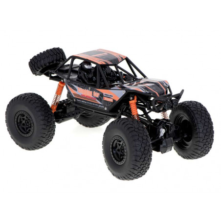 RC mašinėlė su pultu CLIMBING CAR 1:10 4WD