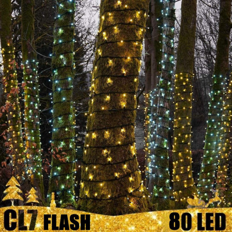 80 LED profesionali lauko girlianda PRO CW FLASH CL7