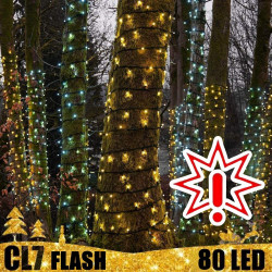 80 LED profesionali lauko girlianda PRO CW FLASH CL7