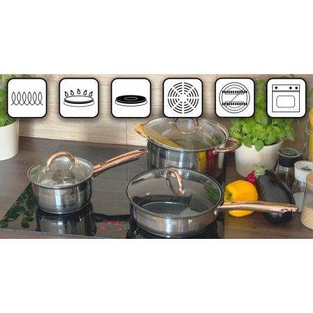 Nerūdijančio plieno 12 dalių puodų rinkinys ZL-8130 Nerūdijančio plieno 12 dalių puodų rinkinys ZL-8130