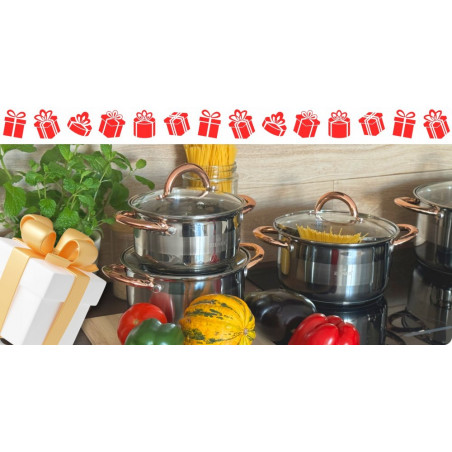 Nerūdijančio plieno 12 dalių puodų rinkinys ZL-8130 Nerūdijančio plieno 12 dalių puodų rinkinys ZL-8130