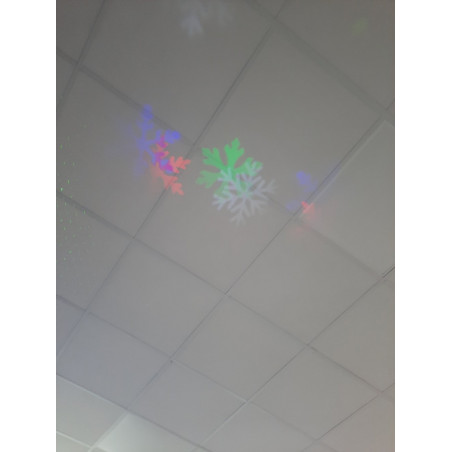 Lazerinis lauko projektorius L17 (Prekė su defektu 9902850)