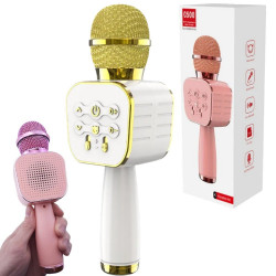 Karaokė mikrofonas 500C