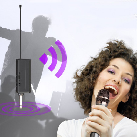 Karaokė mikrofonas, 2 vnt. IW01