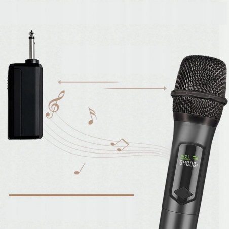 Karaokė mikrofonas, 2 vnt. IW01