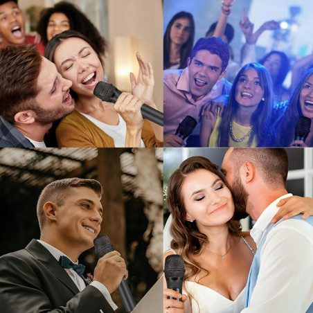 Karaokė mikrofonas, 2 vnt. IW01