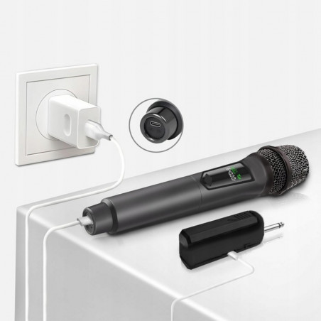 Karaokė mikrofonas, 2 vnt. IW01