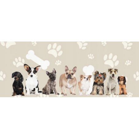 Automobilinis gyvūnų transportavimo krepšys IW02