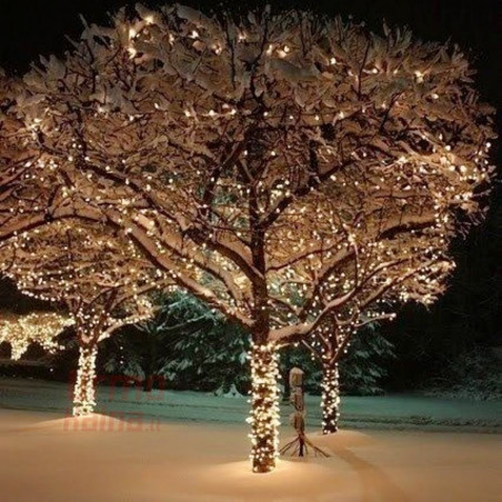 100 LED profesionali lauko girlianda Brosberg Prolight CL8 Flash