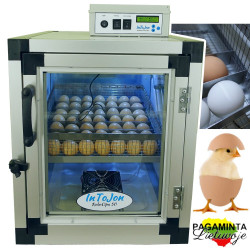 Lietuviškas inkubatorius InToJon „RoboCipa 50” V2