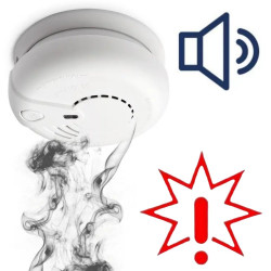 Eldes belaidis dūmų detektorius EWF1 (Prekė su defektu 9903003)