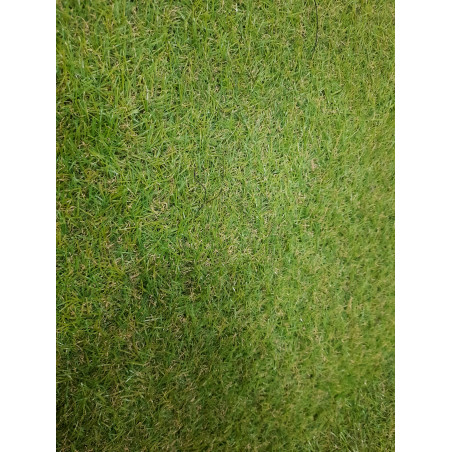 Dirbtinė žolė 494x194 cm (Prekė su defektu 9903009)