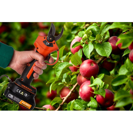 Akumuliatorinės genėjimo žirklės – sekatorius + 2 akumuliatoriai CATA V2