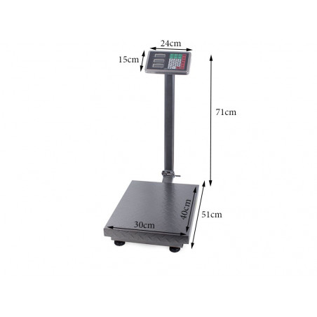 Platforminės svarstyklės PF100L (100 kg, 30x40) (Prekė su defektu 9903081)