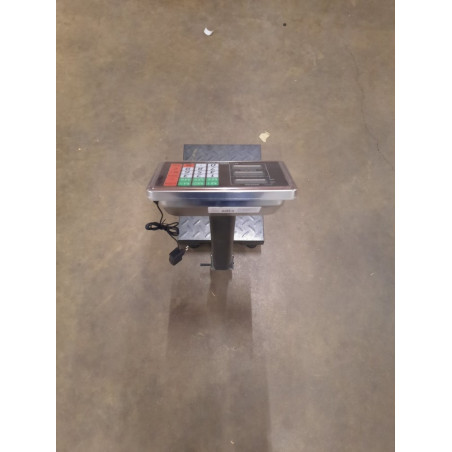 Platforminės svarstyklės PF100L (100 kg, 30x40) (Prekė su defektu 9903081)
