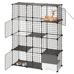 4 lygių kačių narvas su...
