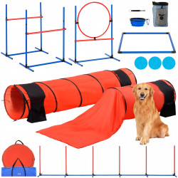 Šunų agility treniruočių...