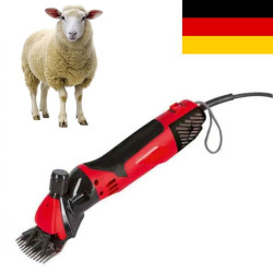 Avių vilnos kirpimo...