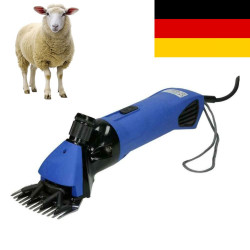 Avių vilnos kirpimo...