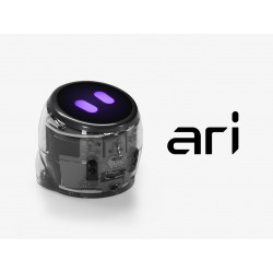 „Ozobot“ Ari robotas,...