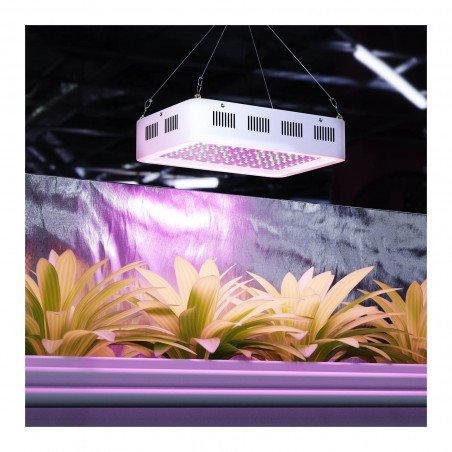 LED augalų lempa HT-WEDGE-300