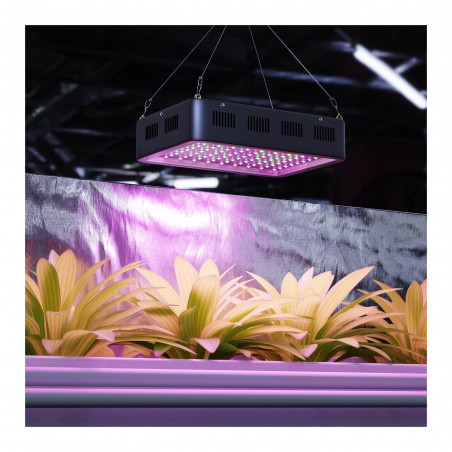 LED augalų lempa HT-WEDGE-1000