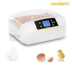 Automatinis kiaušinių inkubatorius Incubato IN-32DDI